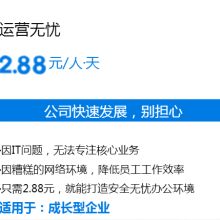 上海勝藍(lán)信息技術(shù)服務(wù)公司 專業(yè)系統(tǒng)集成與IT外包服務(wù)提供商